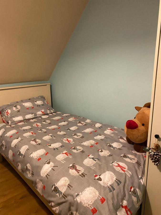 Scarr View 1St Floor Apartment A98W710 威克洛 外观 照片